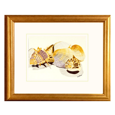 Painting of a group of Florida Shells. Available for purchase