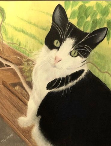Portrait of a cherished cat