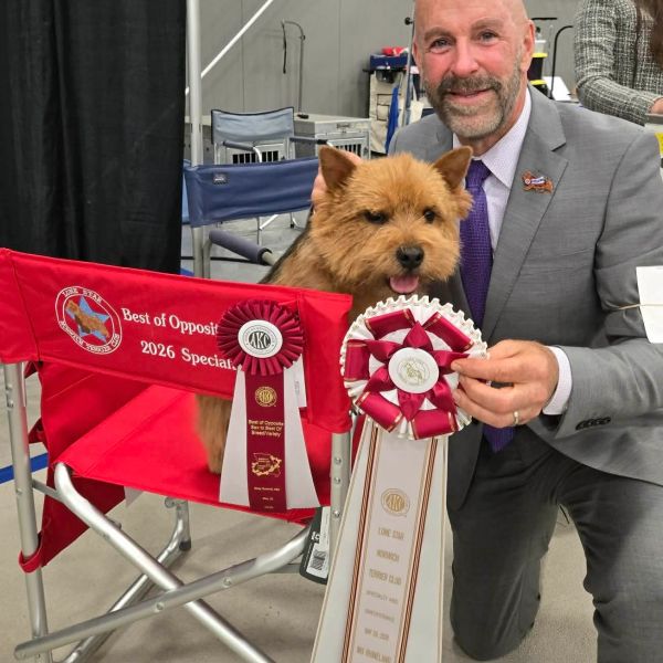 A man proudly poses with a dog and dog show awards including ribbons and a chair.