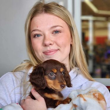 So grateful and happy that our doxie puppies go to amazing homes!