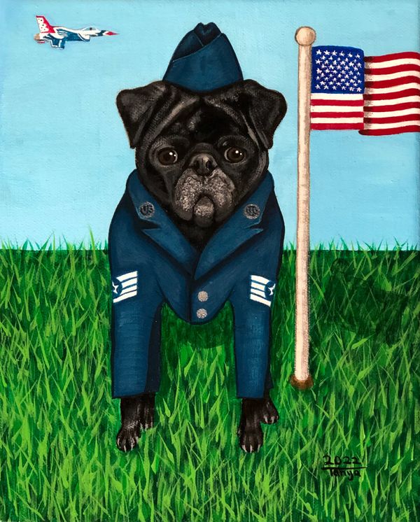 Pup in military attire 