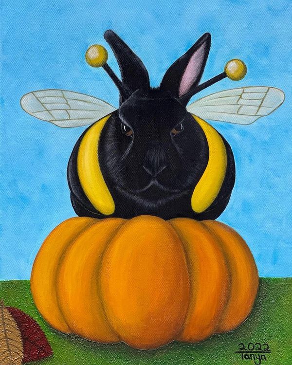 Black rabbit in bumble bee costume.
