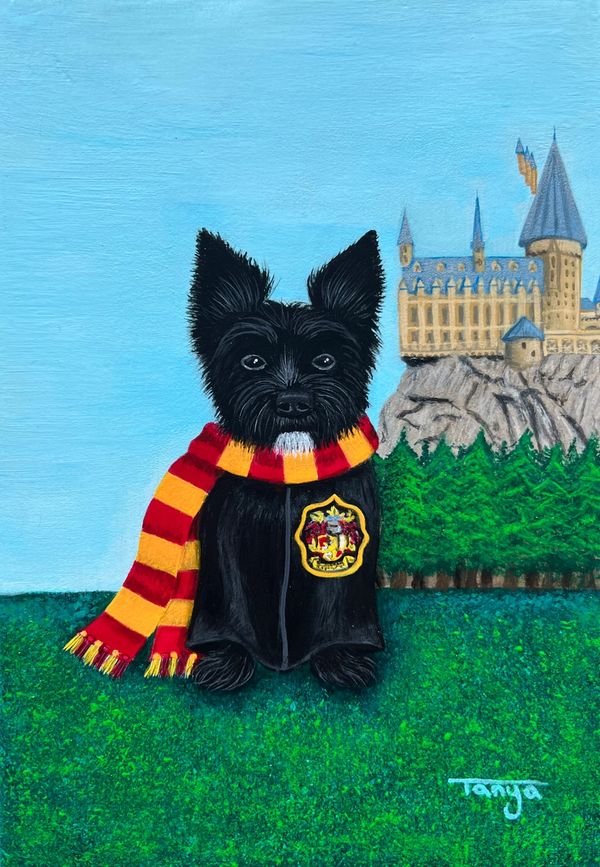 Dog  dressed like Harry Potter