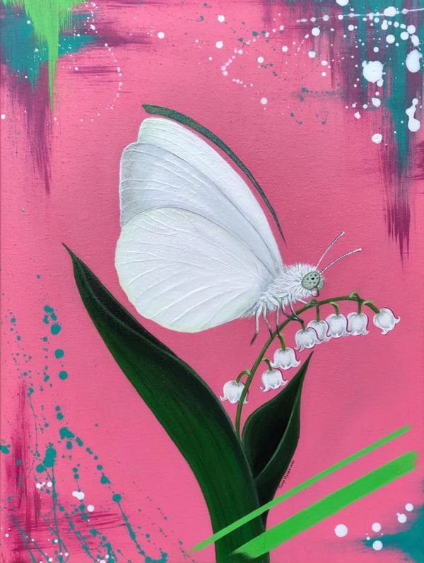 White Butterfly on pink background