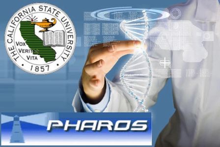 Global brand naming and brand name research for technology, computers and education.
