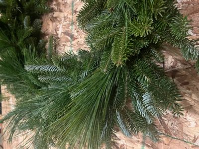 Fraser fir & white pine wreath close up
