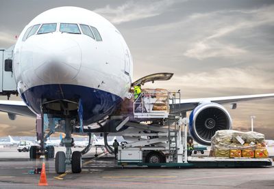 Cargo airfreight wide body jet pallet  loading
