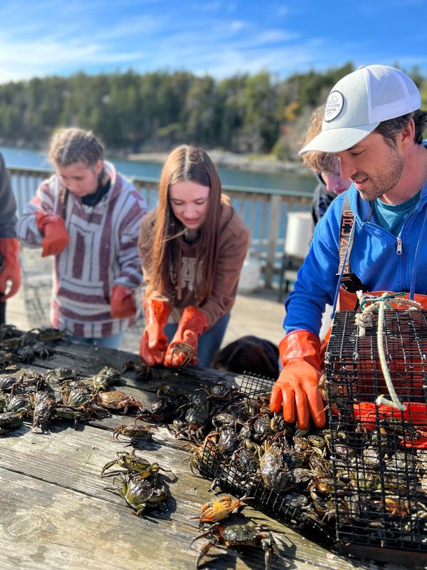 High School Students learning about oyster farming in Maine