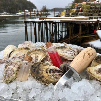 Oysters and a shucking knife on a tray filled with ice