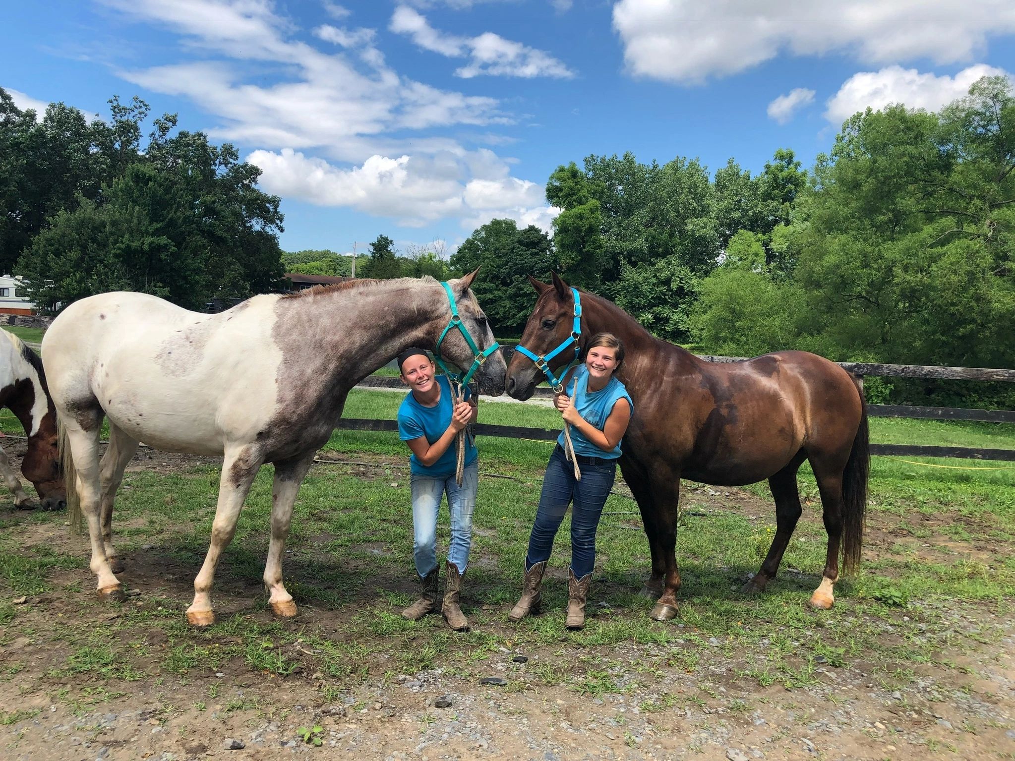 Weight Policy National Riding Stables Horse Rescue