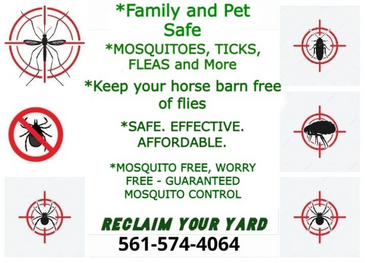 pest control , Dunn Environmental Services, ant control, bird control, bat control , bee removal