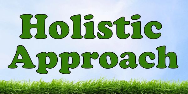Holistic approach.   Safe place to recover, grow, and discover recovery from drug addiction.