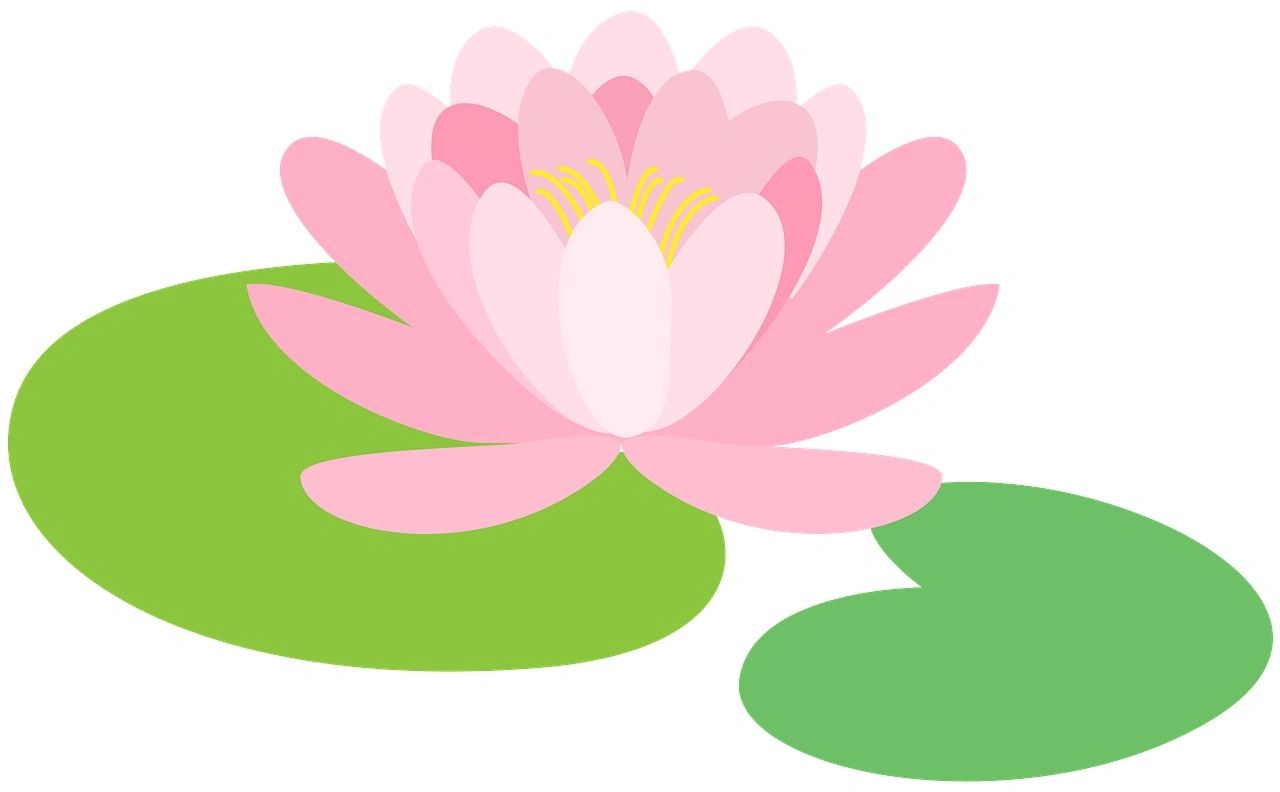 klinika clipart flowers