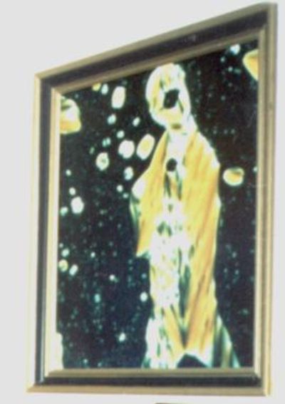Image of the Madonna from Marcel's lab.