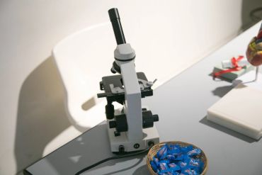 Students at DDEC tuition centre explore micro organisms using microscopes