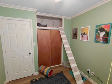 A cozy cat playroom with a ramp, tunnel, and cat-themed wall art.