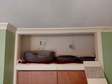 Cozy cat beds and toys set inside a closet shelf.