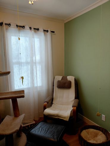 Cozy corner with armchair, footrest, and cat tree near window with sheer curtains.