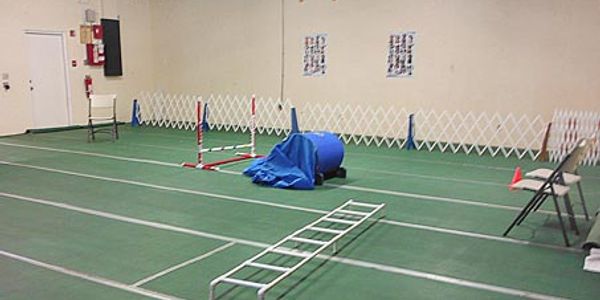Indoor dog agility course with obstacles and tunnels.
