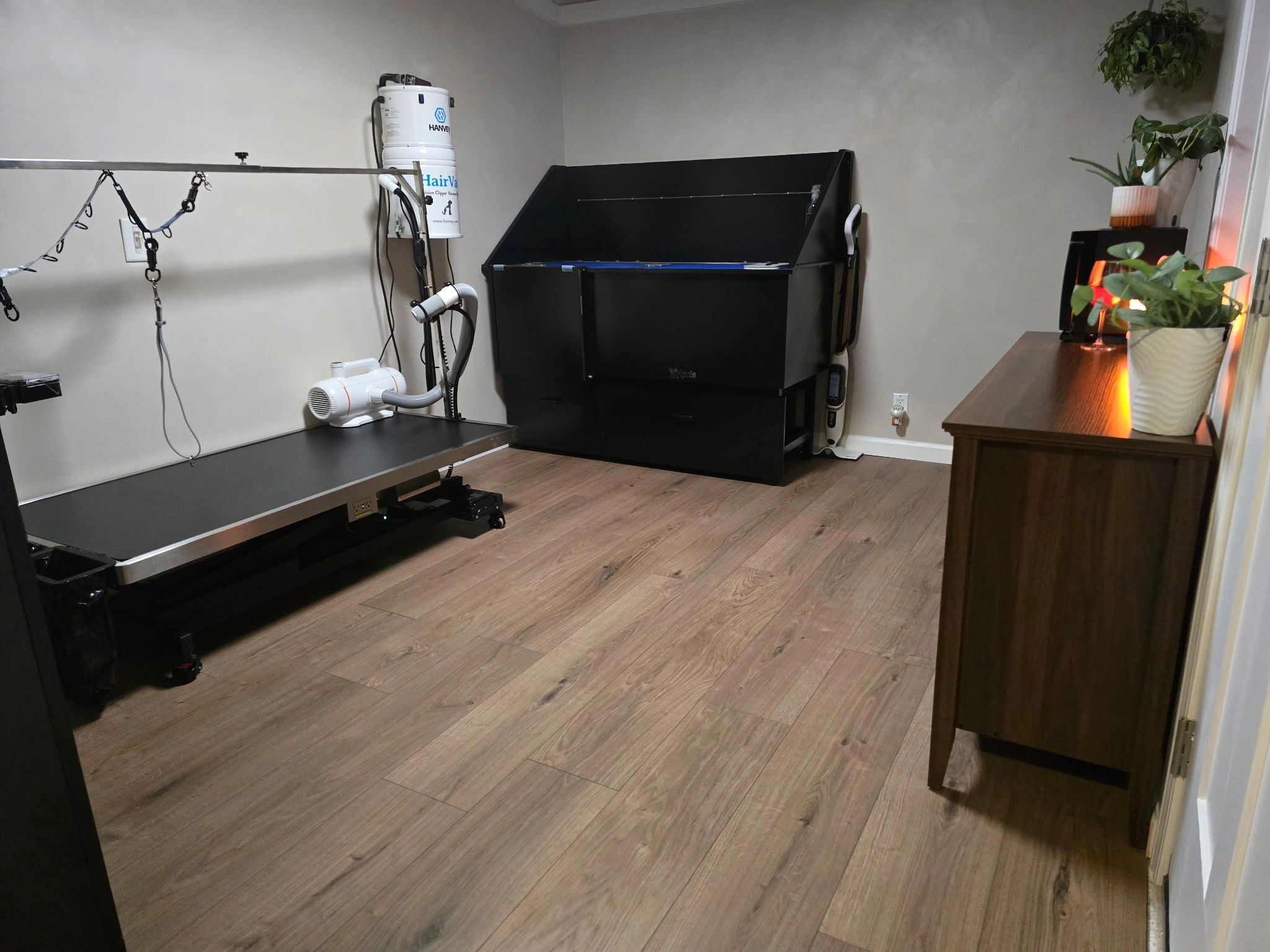 Pet grooming room with table, vacuum, and plants.