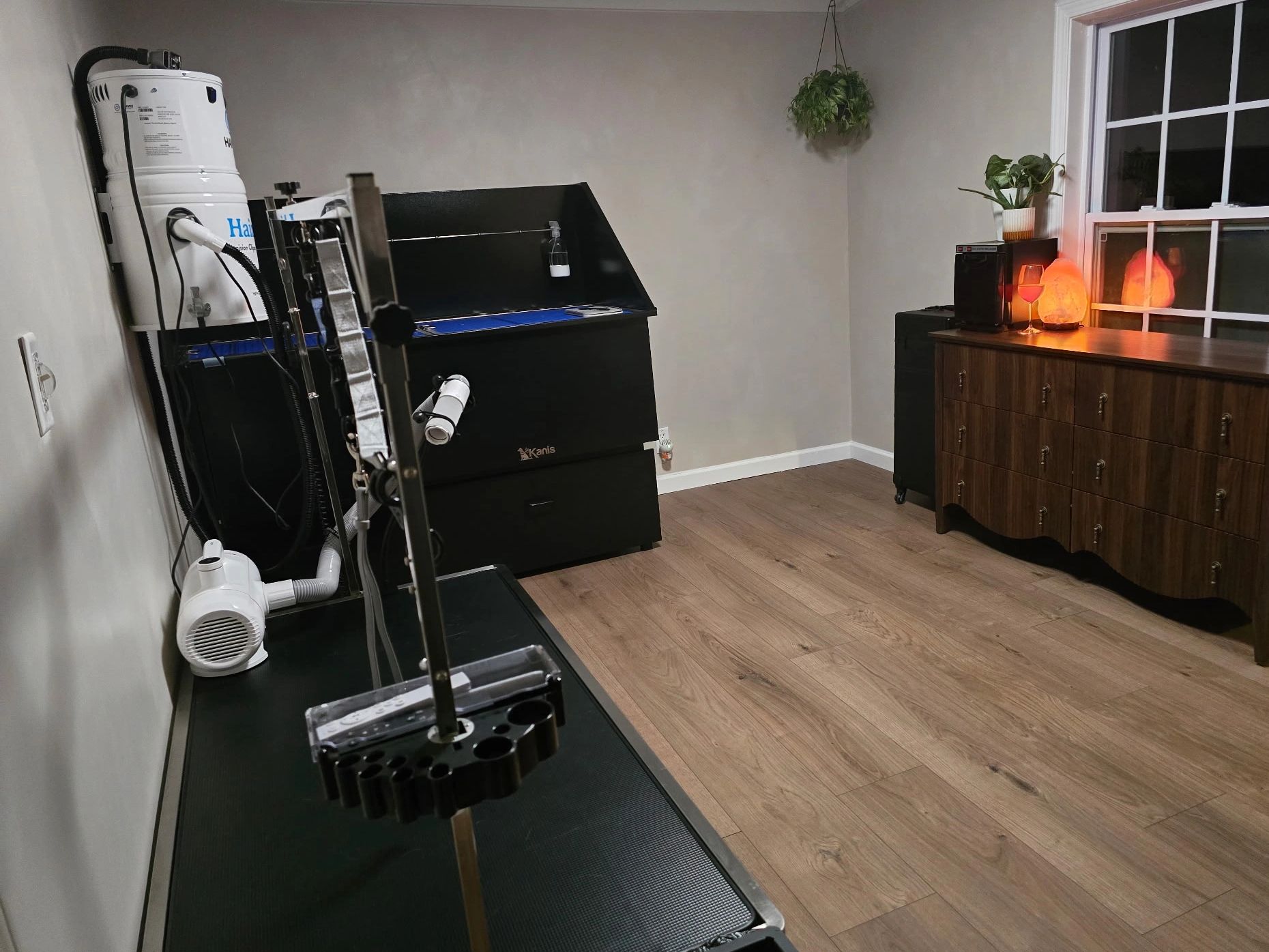 Modern pet grooming room with equipment and warm decor.
