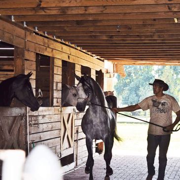 Expert Ranch Horse Boarding