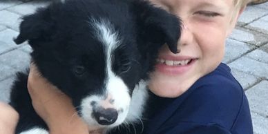 Love animals