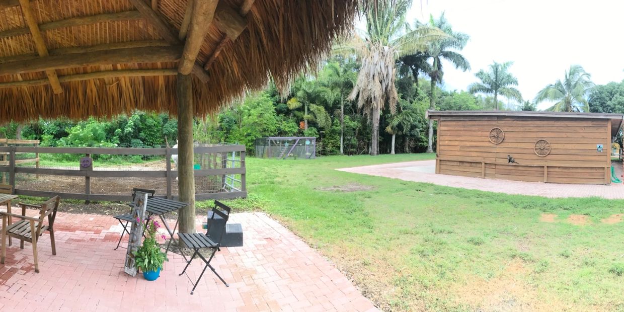 Peace on the ranch