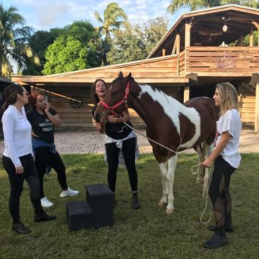 Therapy, Coaching,Team Building w/ Horses. Private group classes. Individual sessions for all ages.