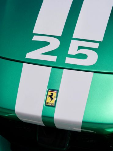 Ferrari Badge detail shot