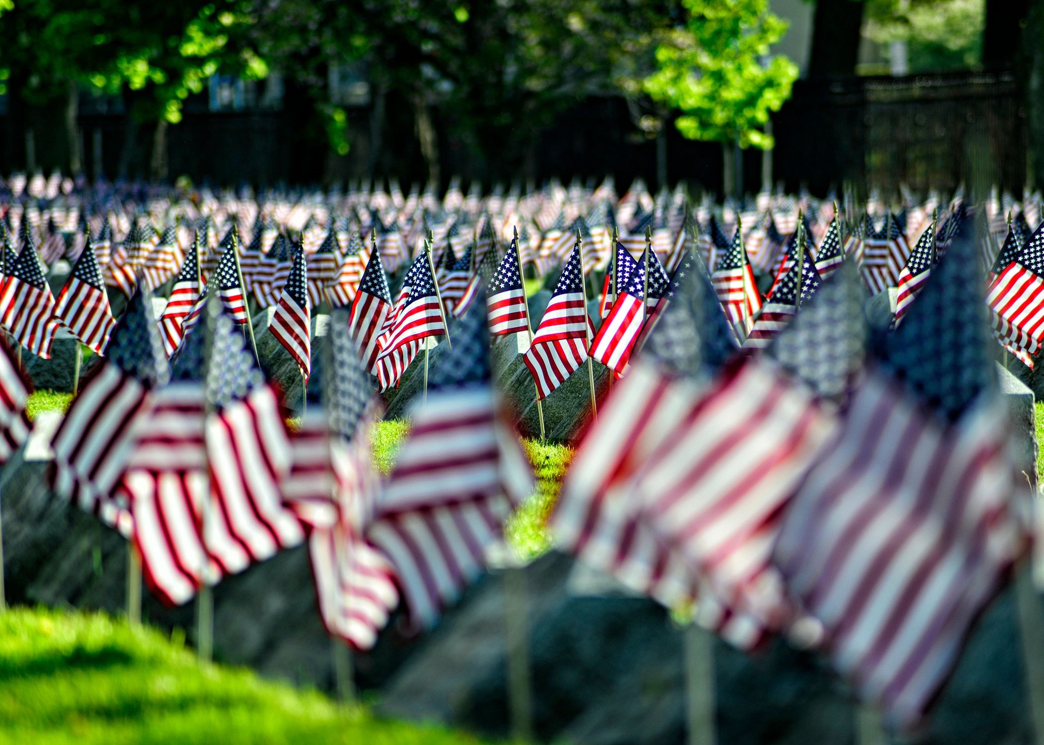 Flags for the fallen