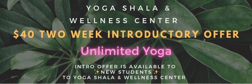 Intro offer, hot yoga, yoga, unlimited yoga, Yin, Vinyasa, 