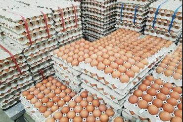Stacks of fresh eggs in trays.