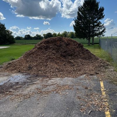 Large pile of wood chips on asphalt near a grassy area and trees.