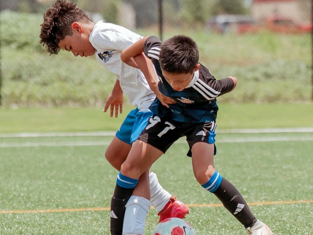Two boys competing for the soccer ball on a sunny day.
