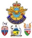 Pan-Territorial Air Cadet Committee