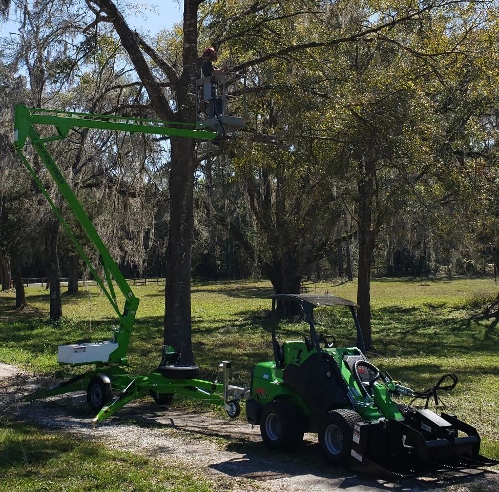 Tree Trimming with Nifty Lift