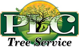 PLC Tree Service