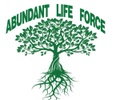 Abundant Life Force