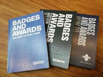 Scouting Badge Books