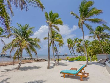 Sunny beach with palm trees, a lounge chair, and ocean piers.