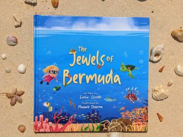 The Jewels of Bermuda, children's book from Book Bermuda