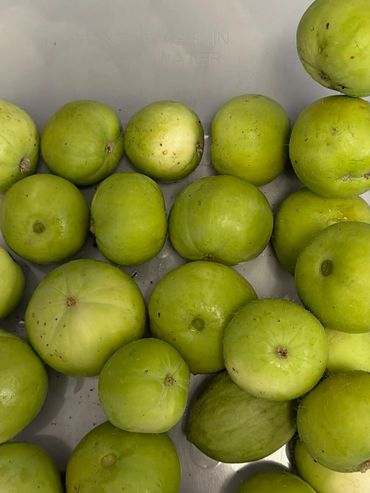 Freshly harvested tinda (Indian round gourd) grown at FarmNest Fresh Farm in Selma, California. Loca