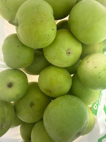Freshly harvested tinda (Indian round gourd) grown at FarmNest Fresh Farm in Selma, California. Loca