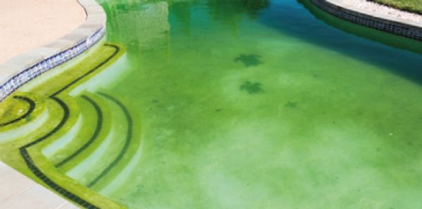 pool acid wash Toronto - CA Pool