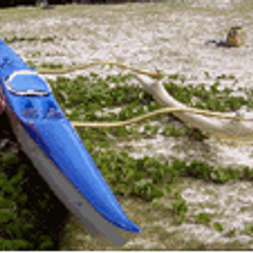 OC1  NAI'A IKI  One Man Outrigger Canoe