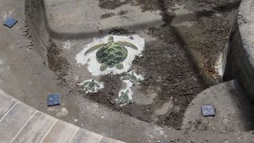 Swimming Pool Construction - Design details