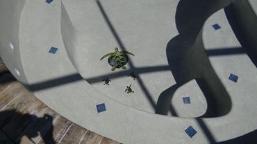 Swimming Pool Construction - Finished Surfaces