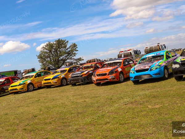 Colorful race cars lined up on grassy field under blue sky.