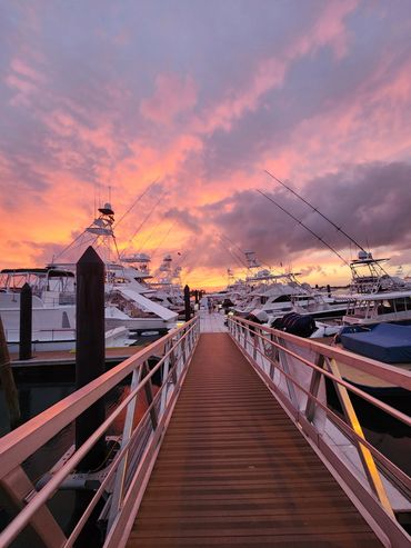 Sailfish Marina, West Palm Beach